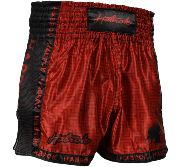 Celtic Warrior | Muay Thai Shorts | MMA Shorts S / REDMMA SHORTS- Habrok